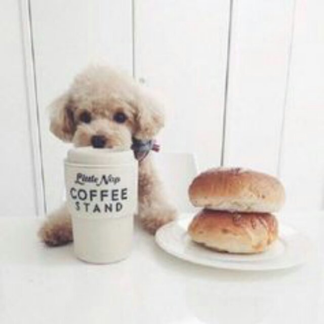 易信😎郑旋 头像