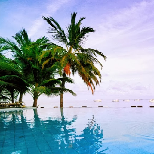 Ramon Cesar Santos Alves 头像