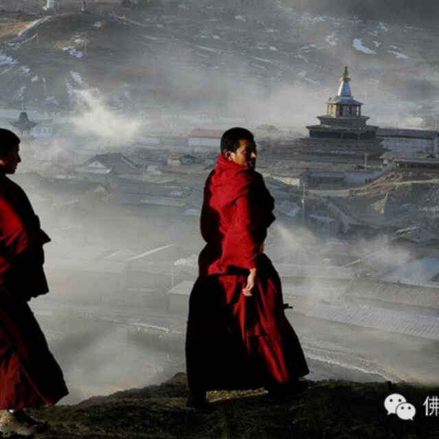 捂鼻子的八爪鱼 头像