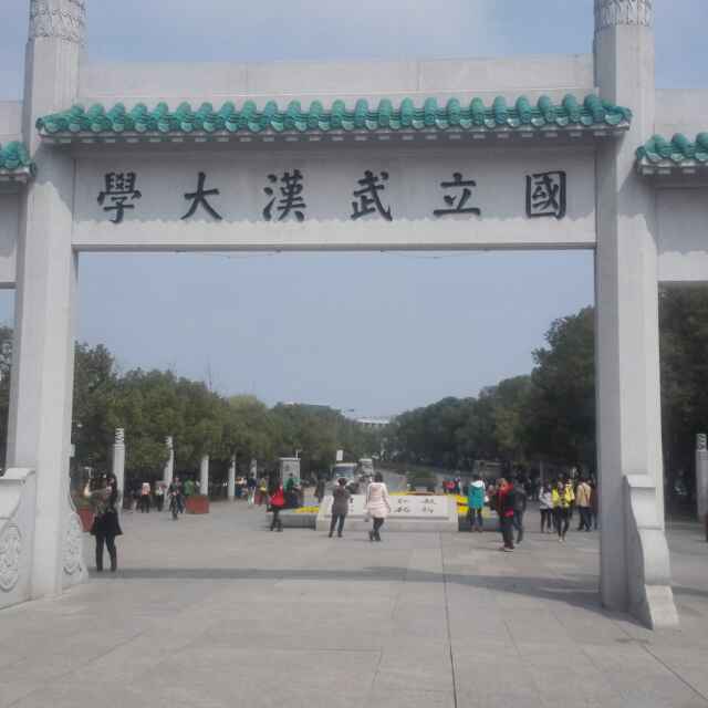 天地人 陈霸 头像