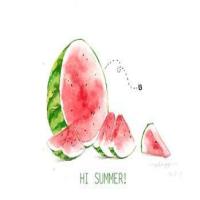 冬眠的兔子 头像