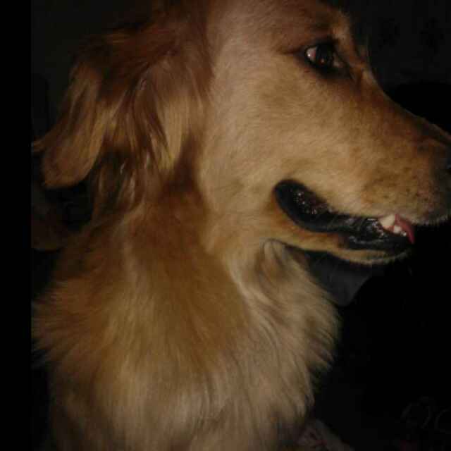 寸寸寸寸寸。 头像