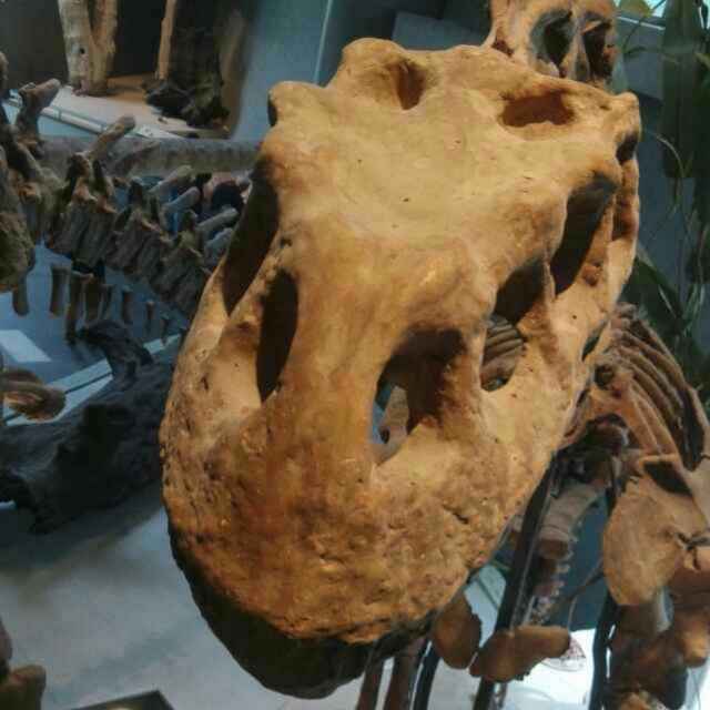 容易中暑者 头像