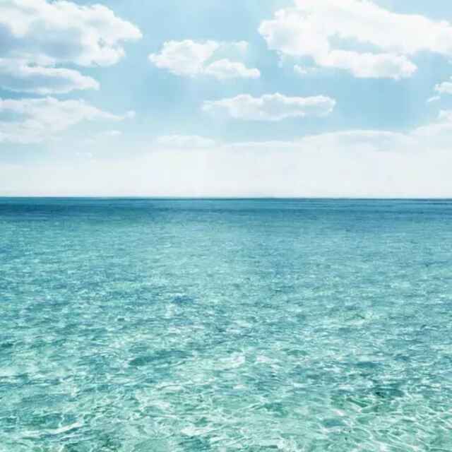 Processon_同行 头像