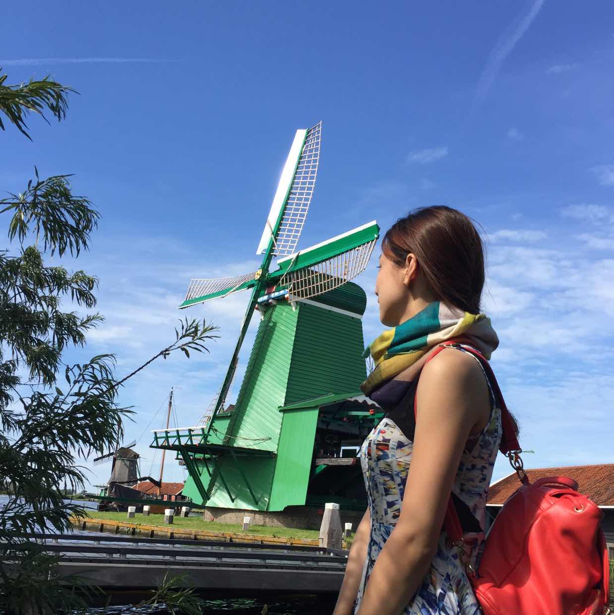 宻歇根湖畔的哈哈镜 头像