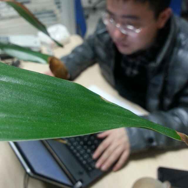 陈其山@科大讯飞 头像