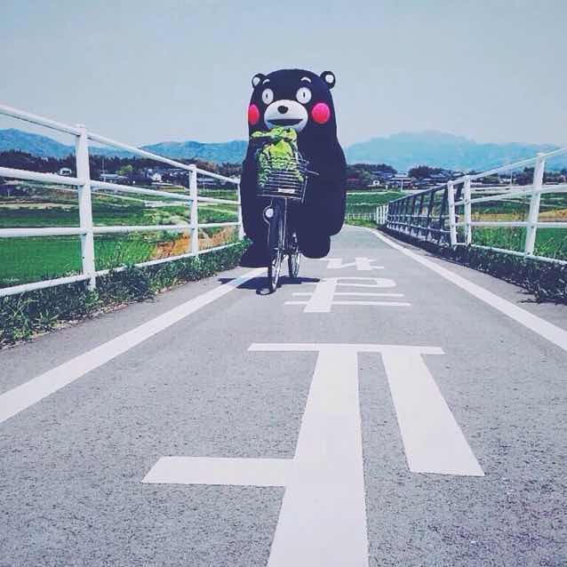 傲娇Summer喵 头像