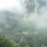 程序员老刘 头像