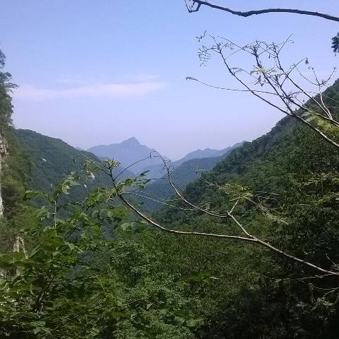 雕栏玉砌应犹在 头像