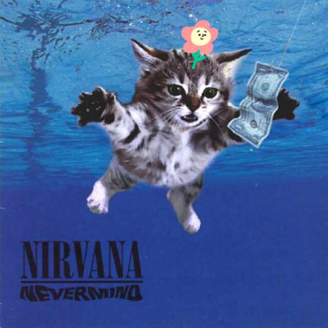 Darth BADWOLF 头像