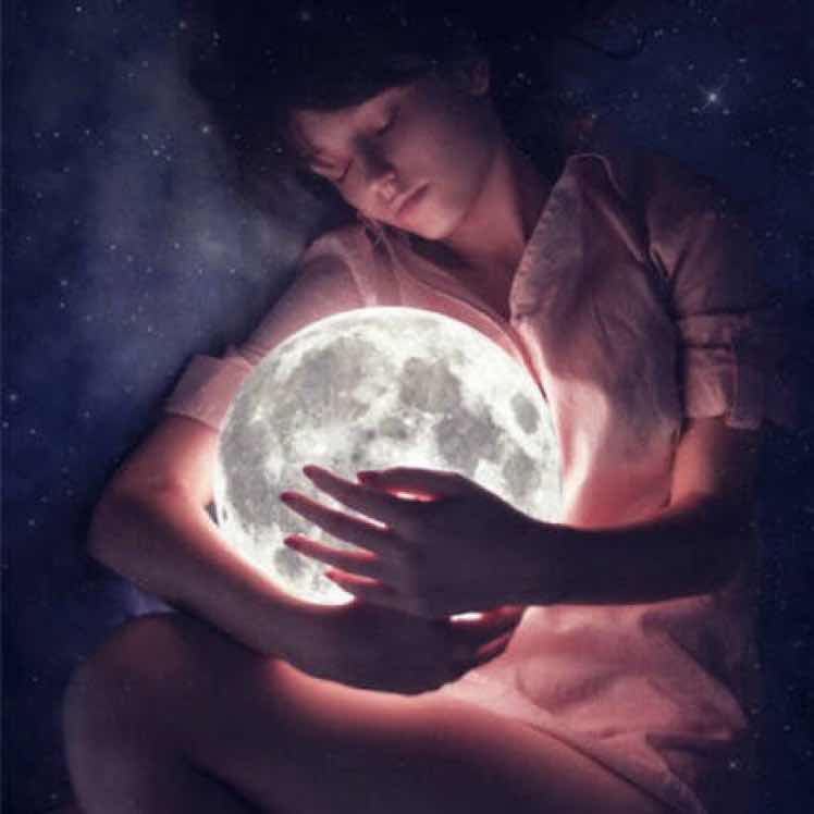 静雅是只小狮子🦁 头像