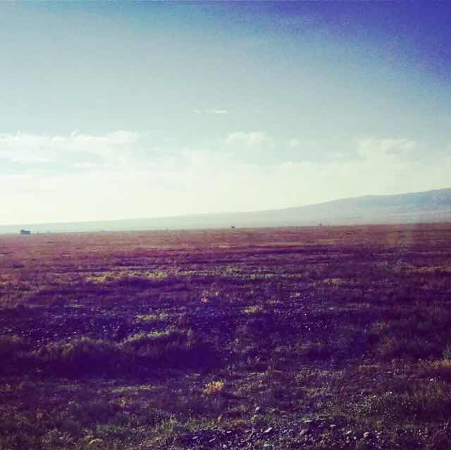 请叫我_姜大人 头像