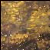 北风™如刀 头像