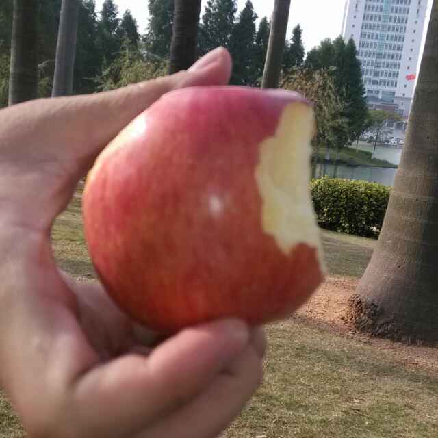 天天向上_ 头像