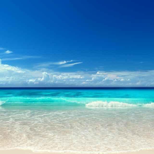 蓝色的风2017 头像