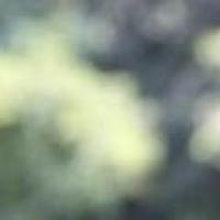 我的小确幸 头像