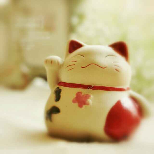 招财猫已经被使用 头像