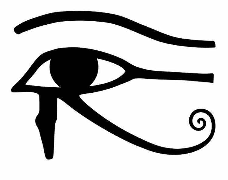 飞奔的花卷 头像