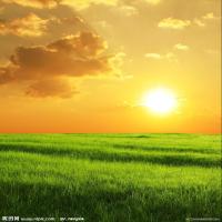 制药升-史宝文 头像