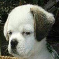 制药14-2 冯静 头像