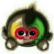 失踪的猴纸 头像