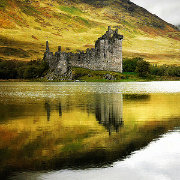 IT流浪者-听雨 头像