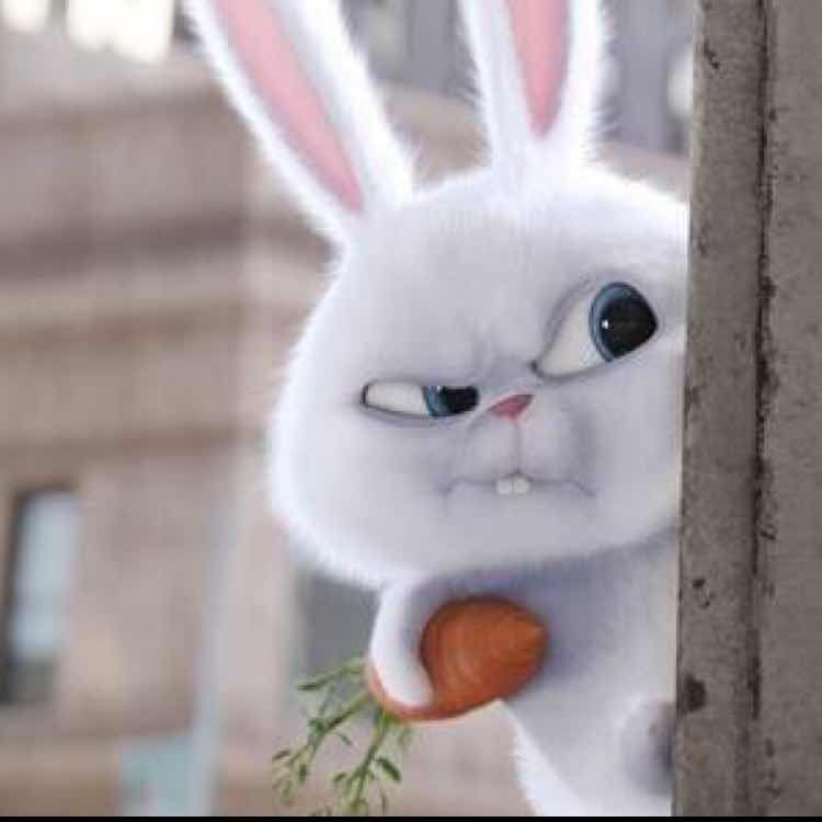 王燚燚Strong 头像