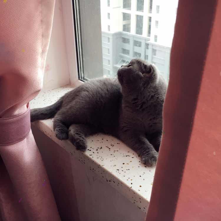 叫我辣黄黄 头像