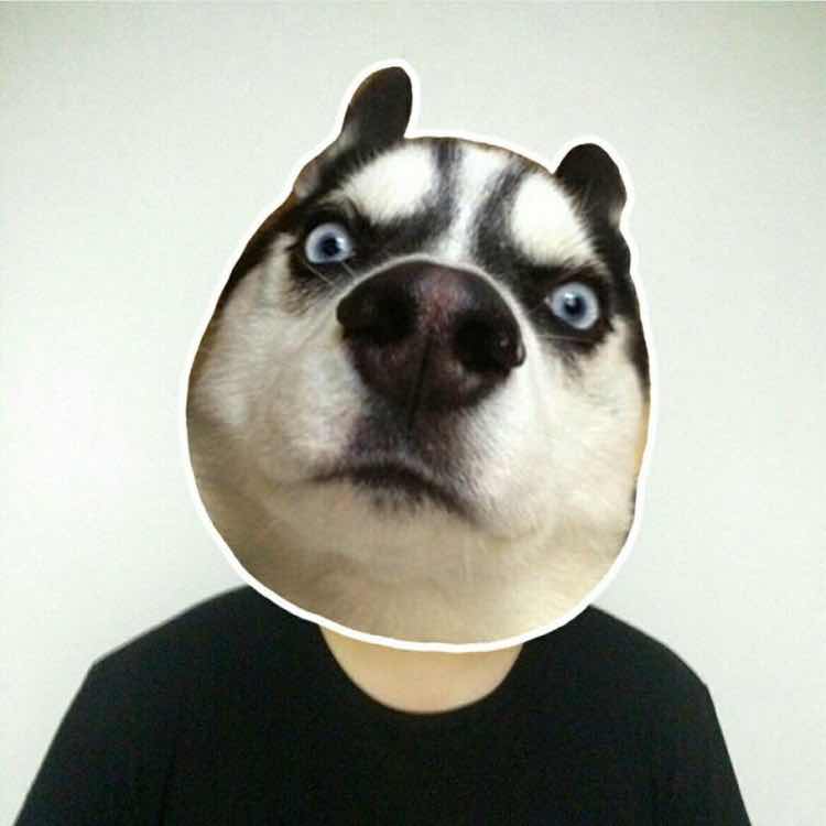 太阳的后羿 头像