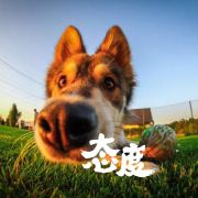 怕上火看廣告 头像