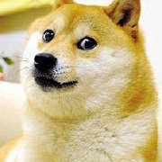 学渣掌门人 头像