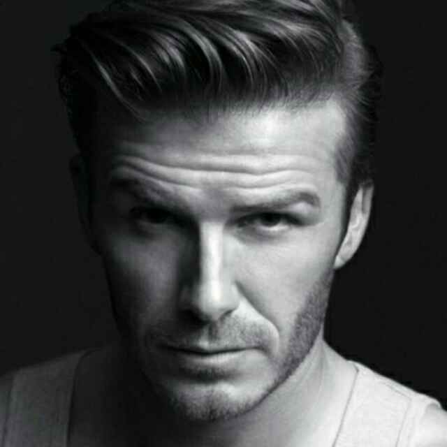 鱼文辉☞希鸥网 头像