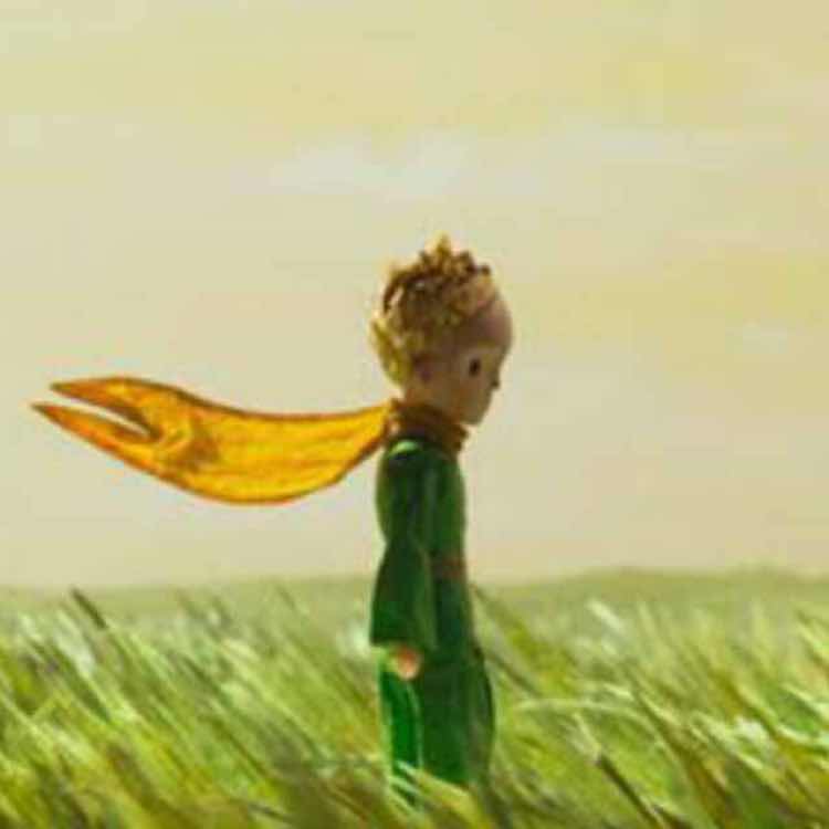 尚攀 - 智慧登封APP 头像