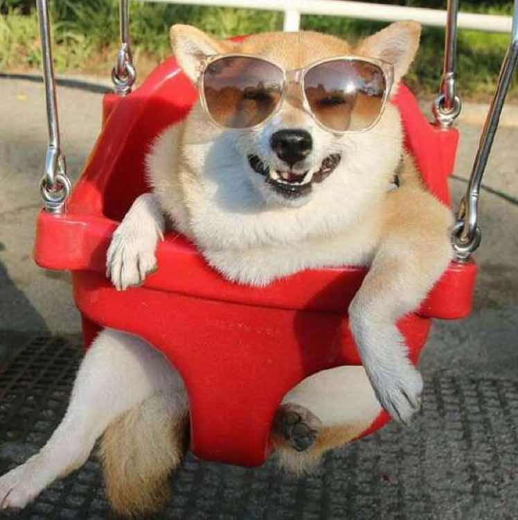 前男友💔 头像