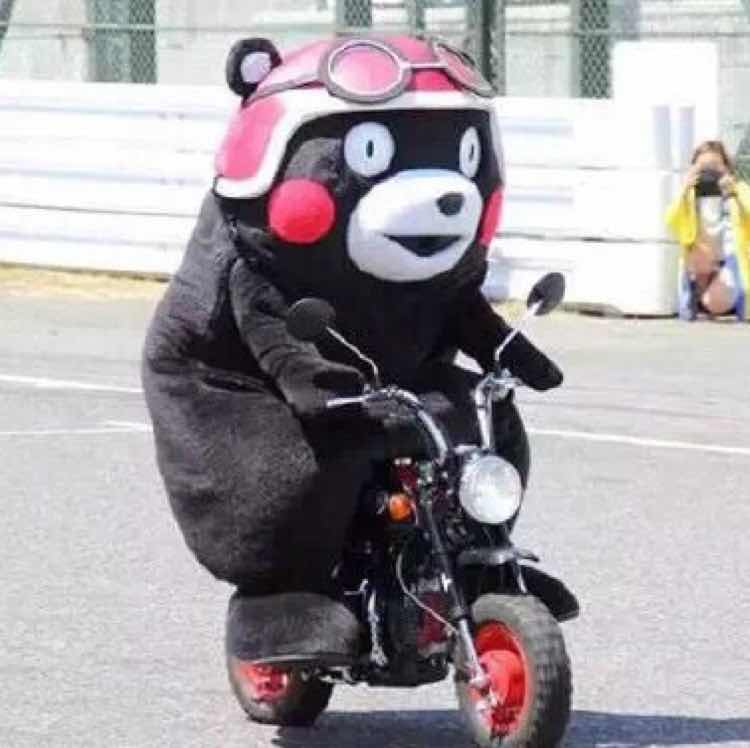 聂哒哒🌻 头像