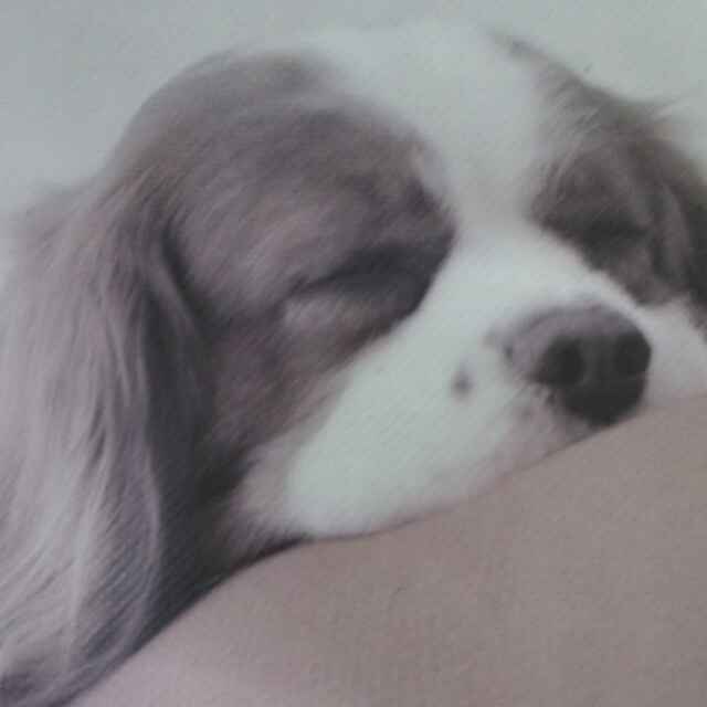 我会好好学习 头像