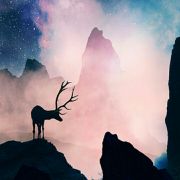 萝萝逗逗逗是我 头像