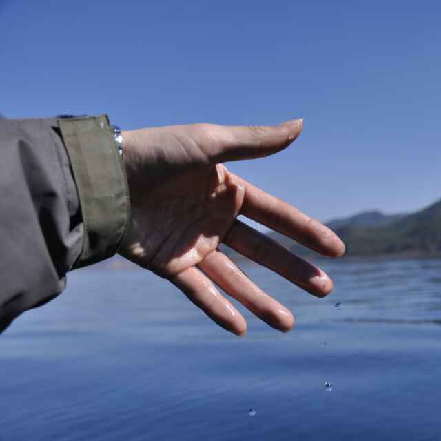 一只会飞的羊 头像