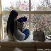 lovingstrangersbaby 头像