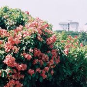 817请一定追上前面的55 头像