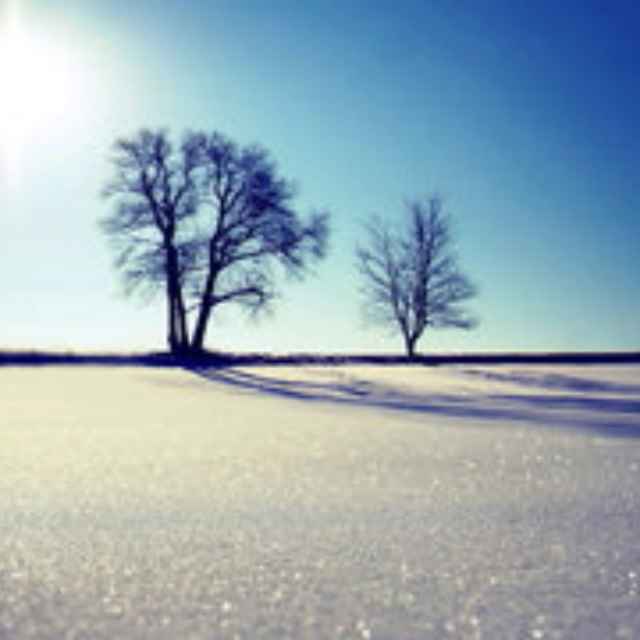 猫（喵）喵 头像