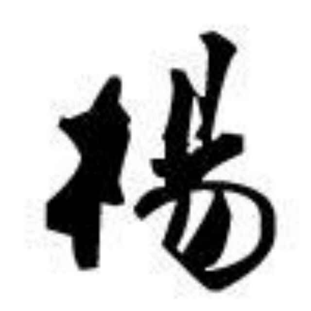 杨斯尧（Ricky）🇨🇳 头像