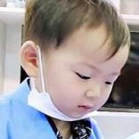 北岛垂耳鸦 头像