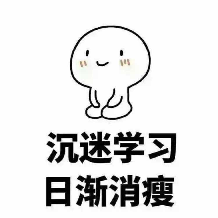 要刻苦学习的啊嘉 头像