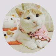 你快乐我亦心安 头像