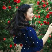 37号葵花路 头像