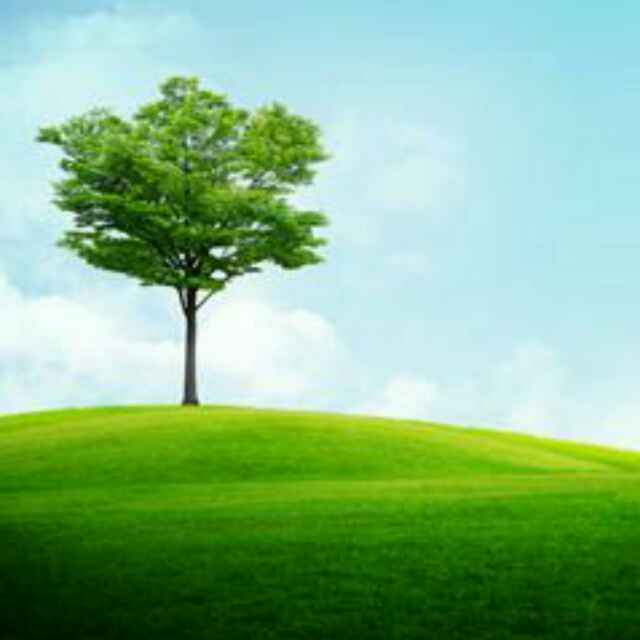 创造美好生活 头像