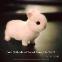 (●ˇ∀ˇ●)o(^▽^)o 头像