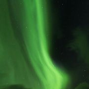 铜绿假单胞菌KY 头像