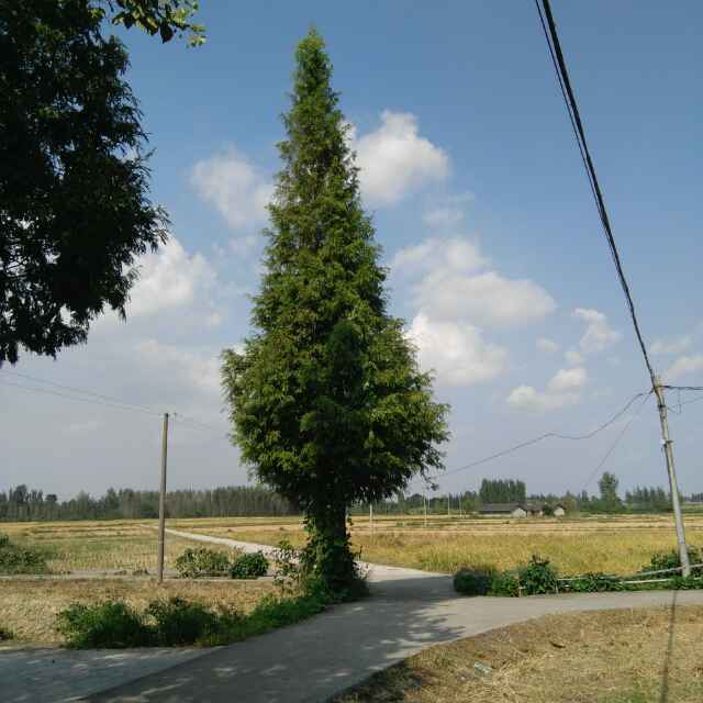 小明没有名 头像